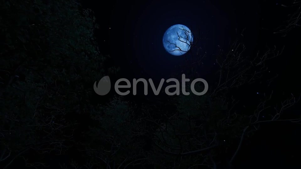 Moving Under Trees With Full Moon At Night Videohive 22142353 Motion Graphics Image 7