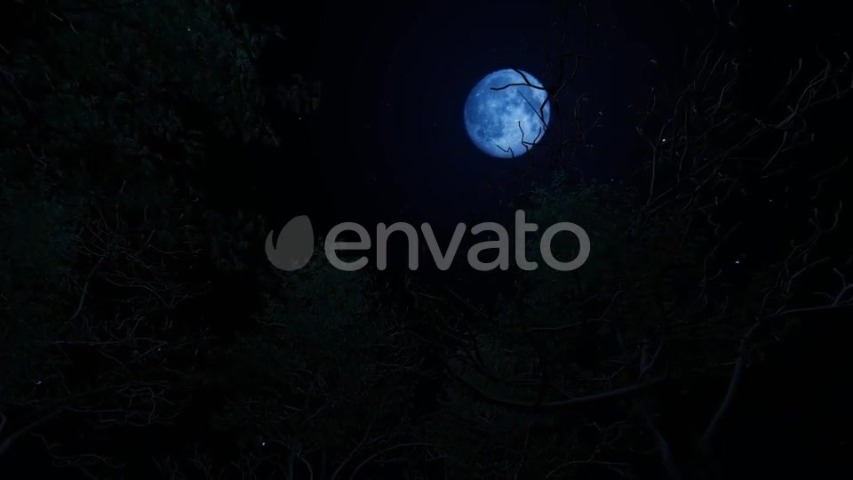 Moving Under Trees With Full Moon At Night Videohive 22142353 Motion Graphics Image 8