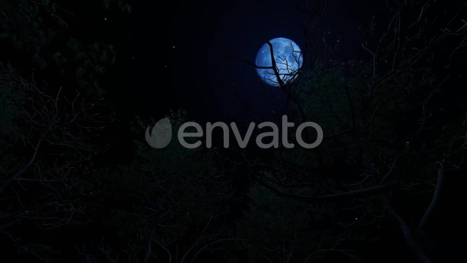 Moving Under Trees With Full Moon At Night Videohive 22142353 Motion Graphics Image 9