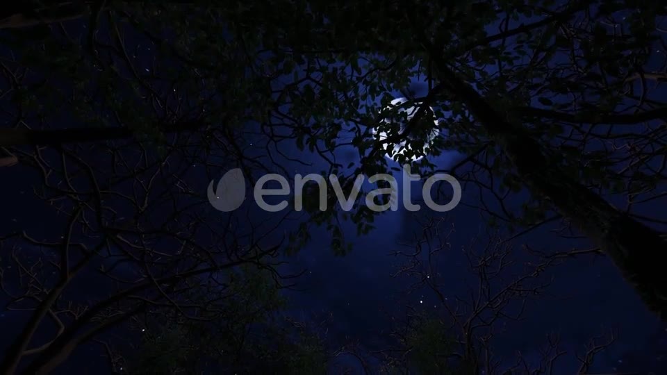 Moving Under Trees With Full Moon At Night Videohive 22143382 Motion Graphics Image 2