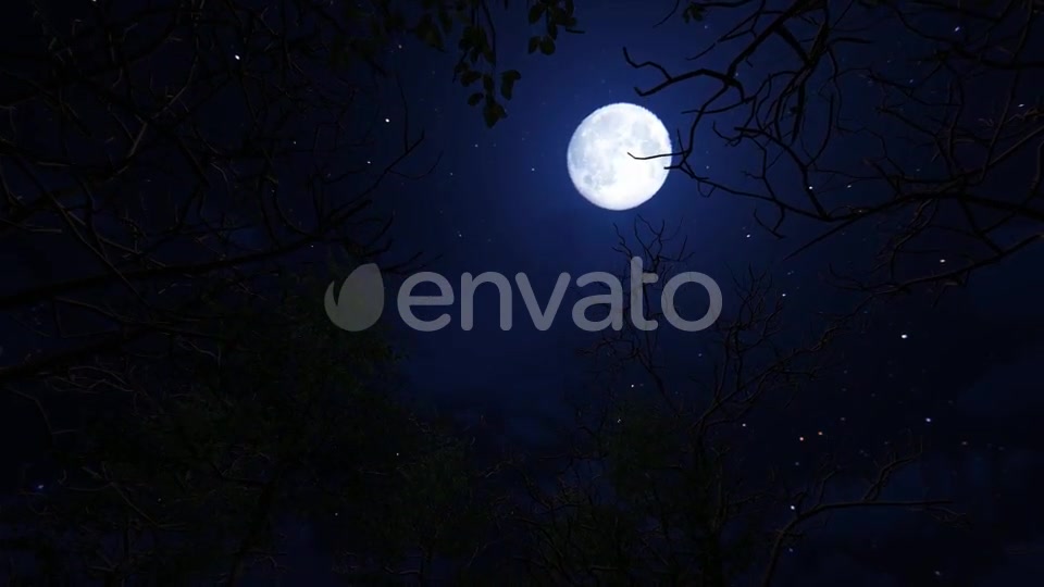 Moving Under Trees With Full Moon At Night Videohive 22143382 Motion Graphics Image 4