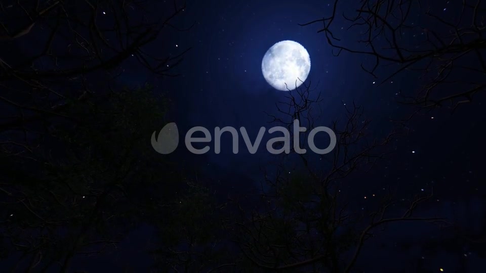 Moving Under Trees With Full Moon At Night Videohive 22143382 Motion Graphics Image 5
