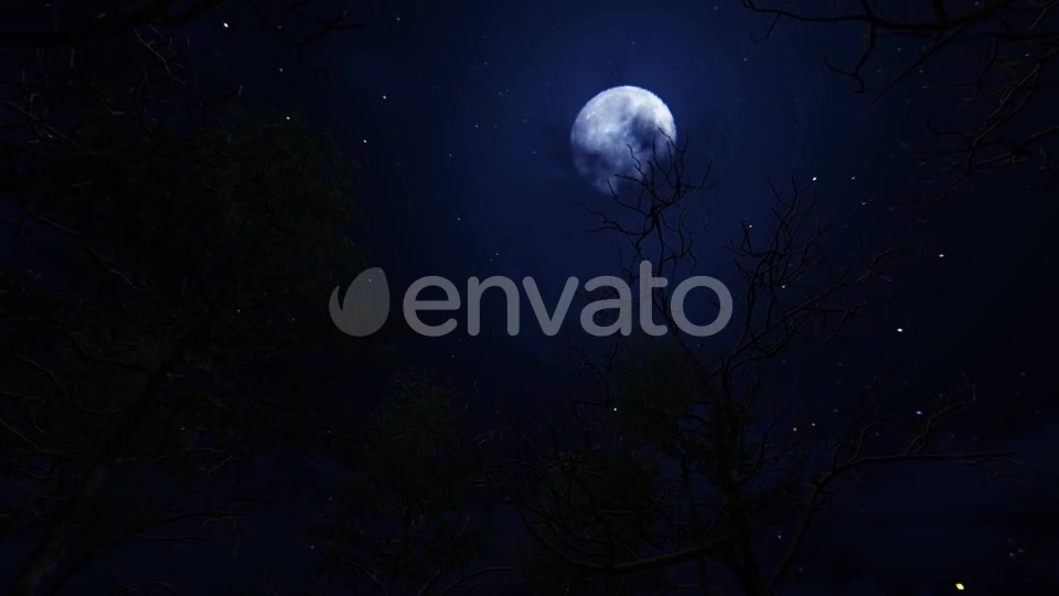 Moving Under Trees With Full Moon At Night Videohive 22143382 Motion Graphics Image 6