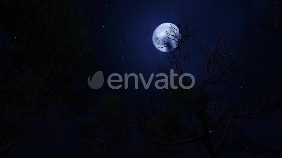 Moving Under Trees With Full Moon At Night Videohive 22143382 Motion Graphics Image 7