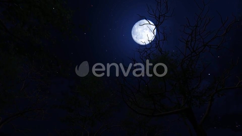 Moving Under Trees With Full Moon At Night Videohive 22143382 Motion Graphics Image 8