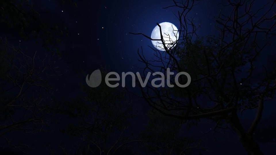 Moving Under Trees With Full Moon At Night Videohive 22143382 Motion Graphics Image 9