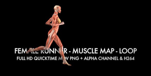 Muscle Map Female Runner Loop - 5325469 Videohive Download