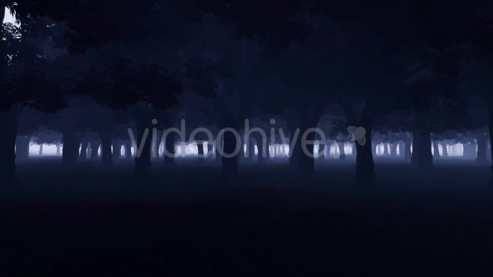 Mystery Dark Forest Videohive 19777731 Motion Graphics Image 2