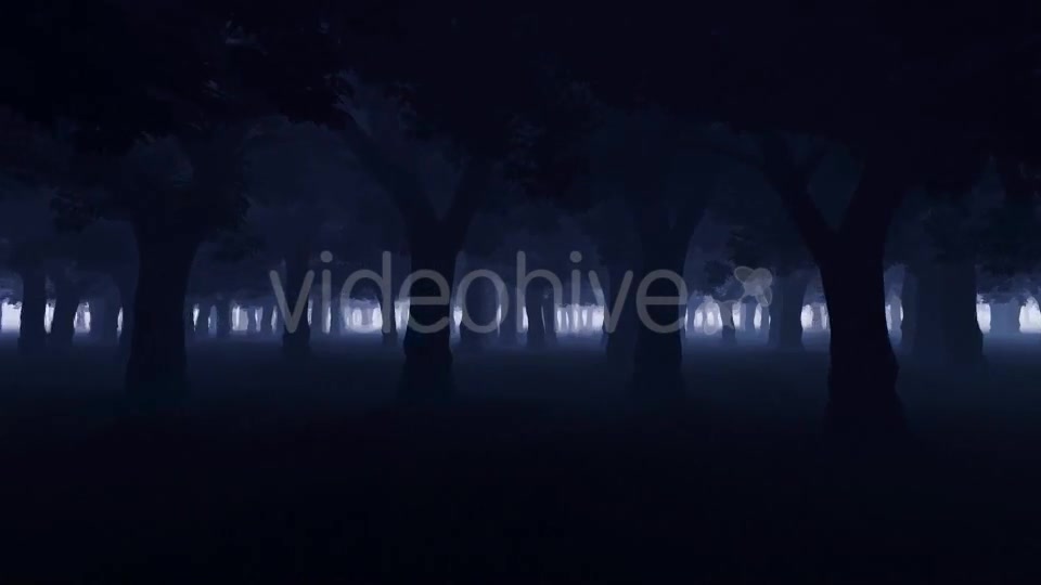 Mystery Dark Forest Videohive 19777731 Motion Graphics Image 3