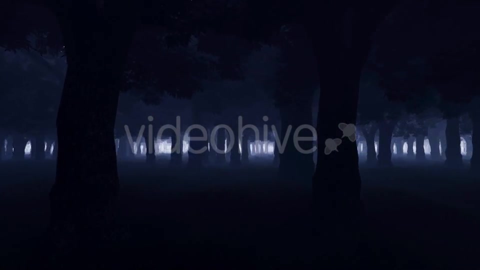 Mystery Dark Forest Videohive 19777731 Motion Graphics Image 4