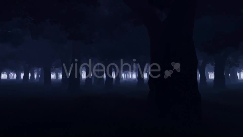 Mystery Dark Forest Videohive 19777731 Motion Graphics Image 5