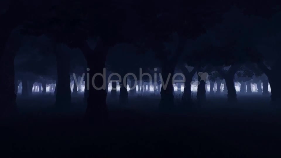 Mystery Dark Forest Videohive 19777731 Motion Graphics Image 6