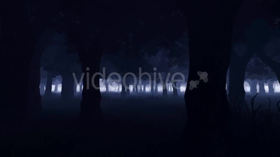 Mystery Dark Forest Videohive 19777731 Motion Graphics Image 7