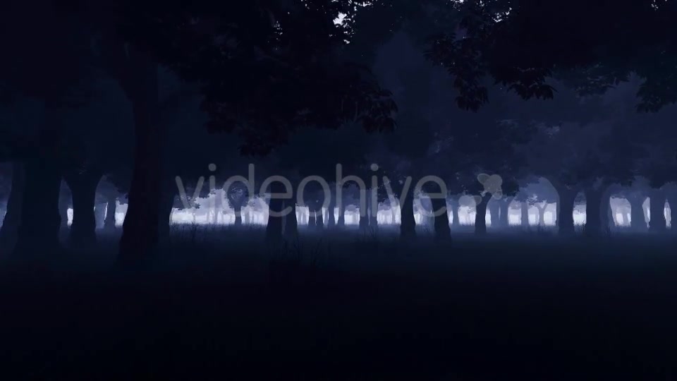 Mystery Dark Forest Videohive 19777731 Motion Graphics Image 8