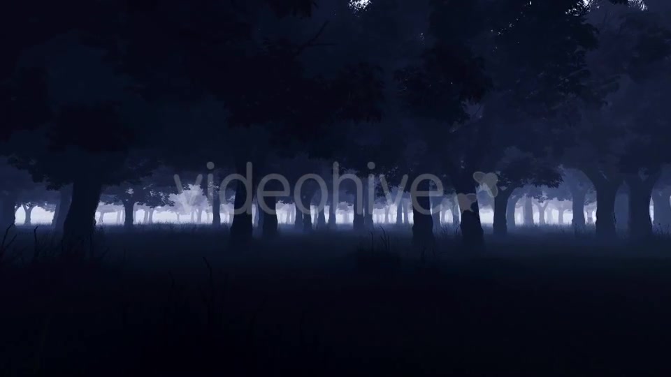 Mystery Dark Forest Videohive 19777731 Motion Graphics Image 9