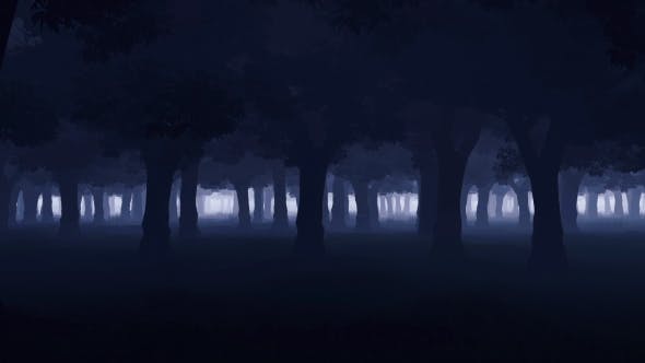 Mystery Dark Forest - Download 19777731 Videohive