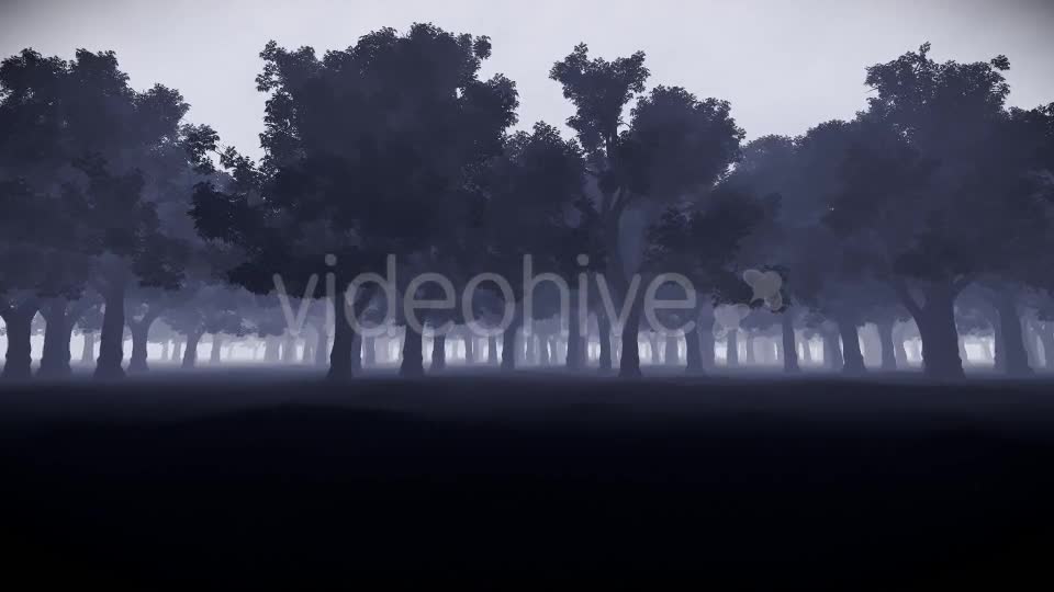 Mystery Forest Videohive 15514632 Motion Graphics Image 1