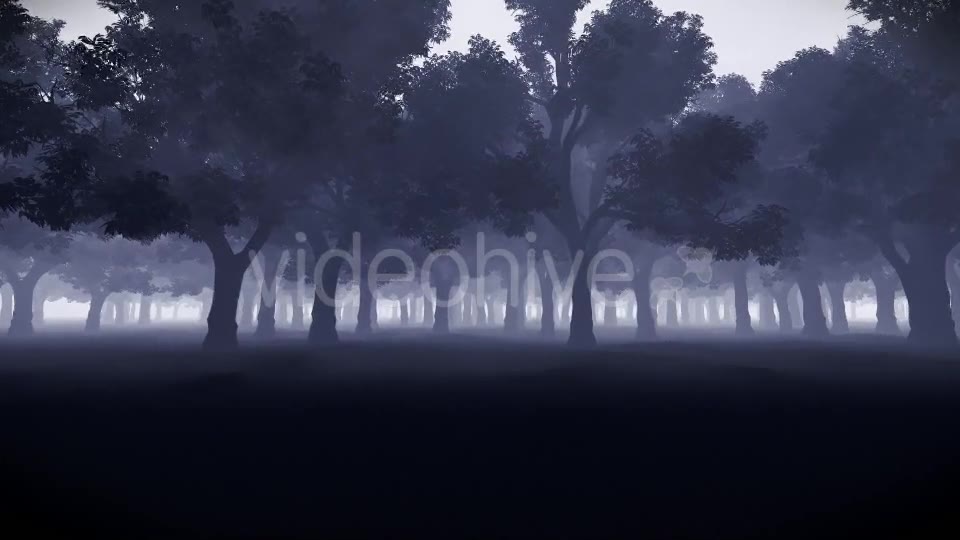 Mystery Forest Videohive 15514632 Motion Graphics Image 2