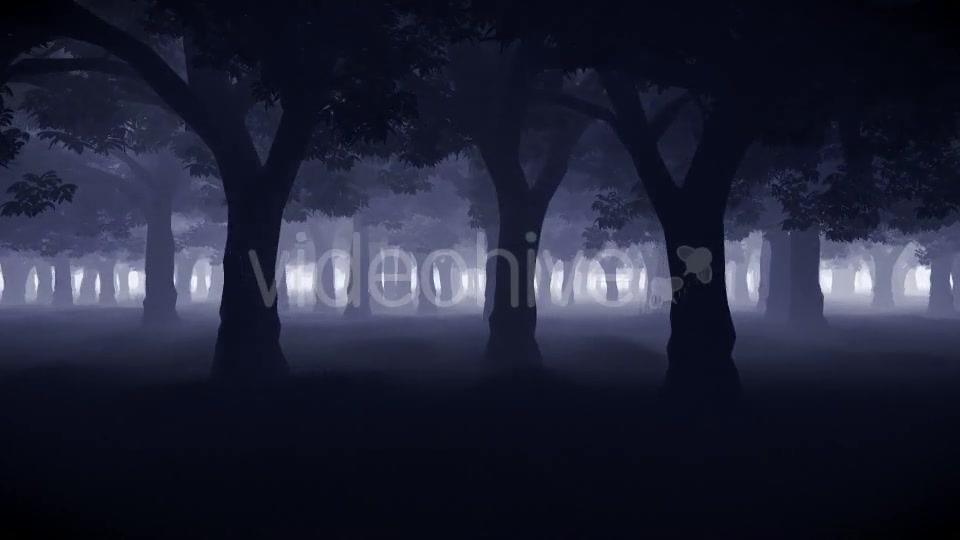 Mystery Forest Videohive 15514632 Motion Graphics Image 4