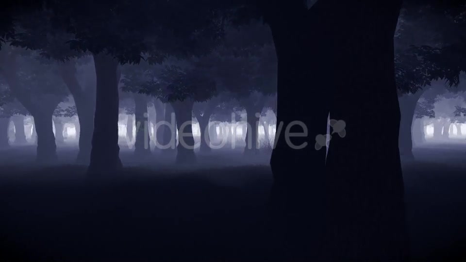 Mystery Forest Videohive 15514632 Motion Graphics Image 5