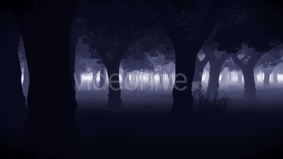 Mystery Forest Videohive 15514632 Motion Graphics Image 6