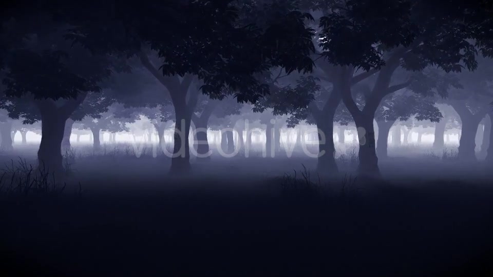 Mystery Forest Videohive 15514632 Motion Graphics Image 8