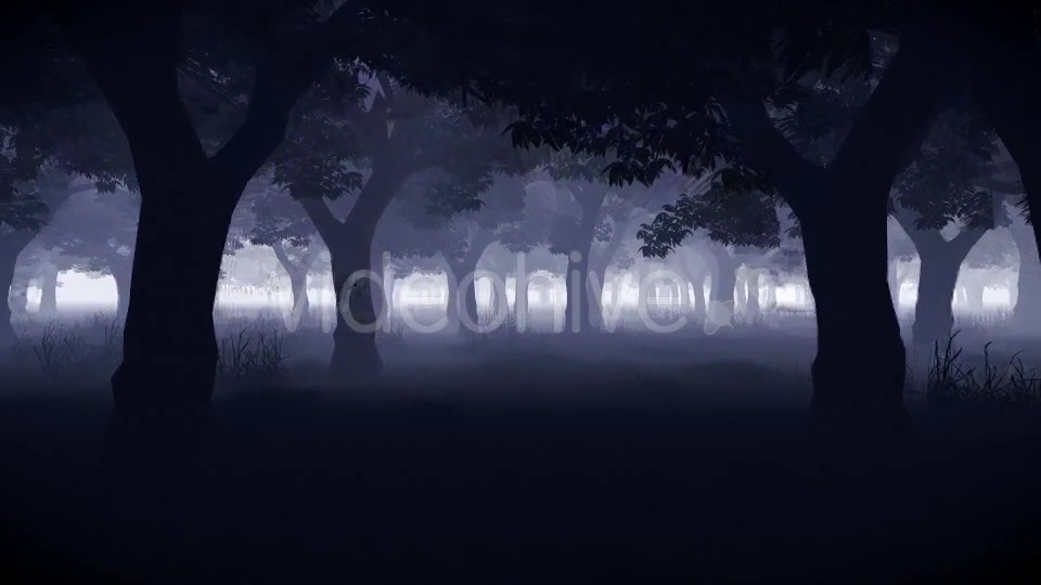 Mystery Forest Videohive 15514632 Motion Graphics Image 9