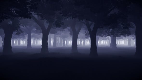 Mystery Forest - Download Videohive 15514632