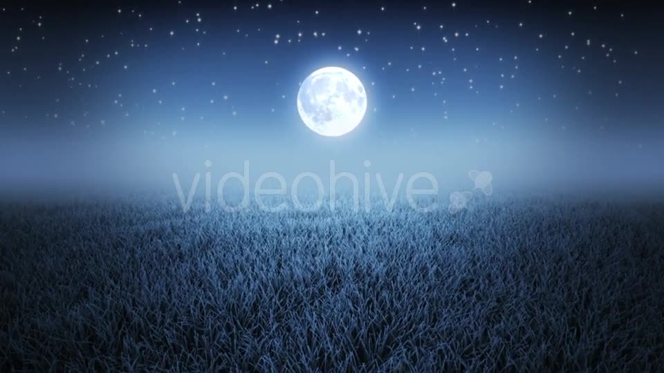 Mystic Night Flight Over Grass Videohive 19993691 Motion Graphics Image 1