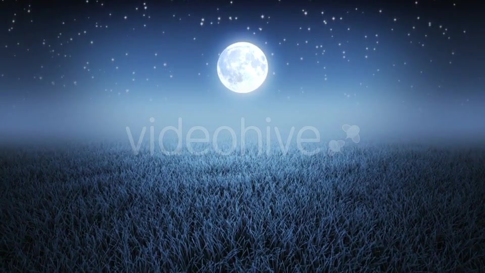 Mystic Night Flight Over Grass Videohive 19993691 Motion Graphics Image 2