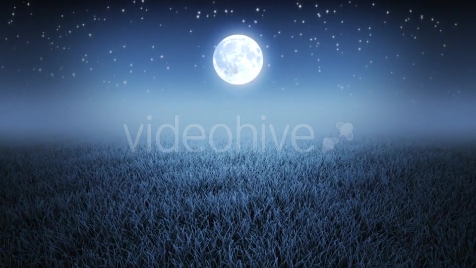 Mystic Night Flight Over Grass Videohive 19993691 Motion Graphics Image 3