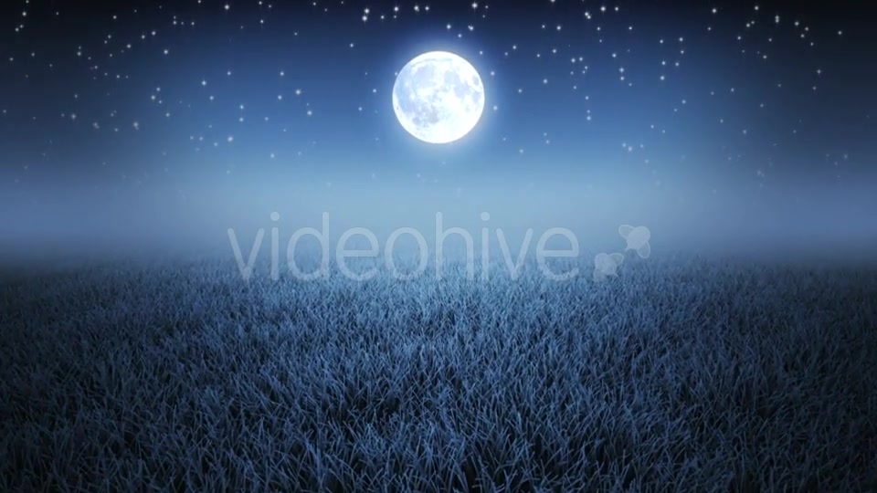 Mystic Night Flight Over Grass Videohive 19993691 Motion Graphics Image 4