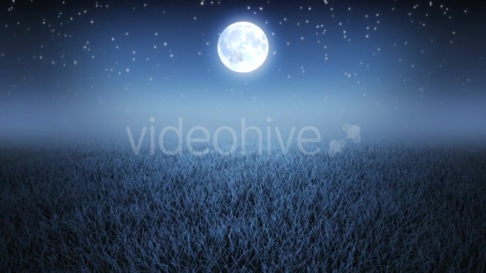Mystic Night Flight Over Grass Videohive 19993691 Motion Graphics Image 5
