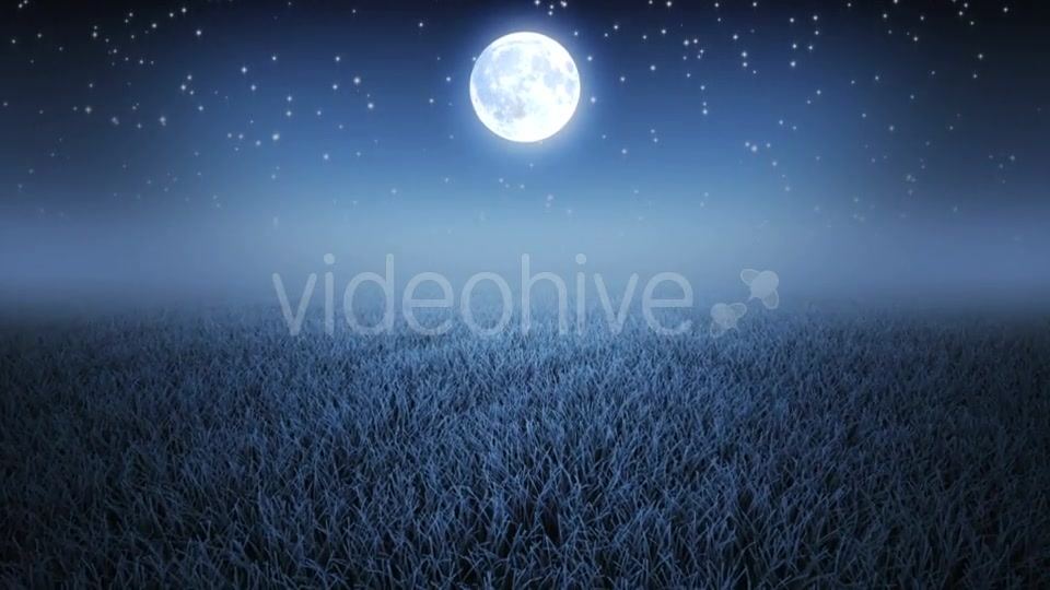 Mystic Night Flight Over Grass Videohive 19993691 Motion Graphics Image 6