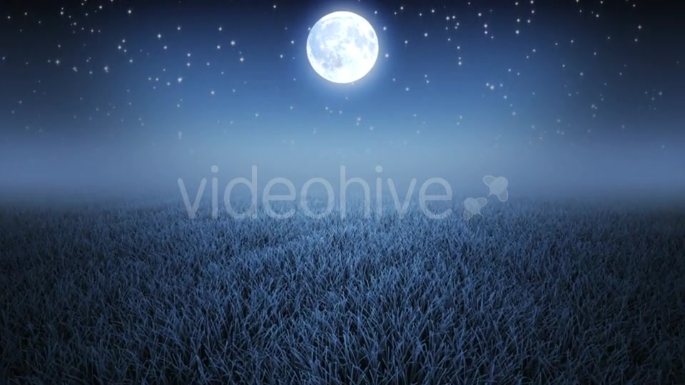 Mystic Night Flight Over Grass Videohive 19993691 Motion Graphics Image 7