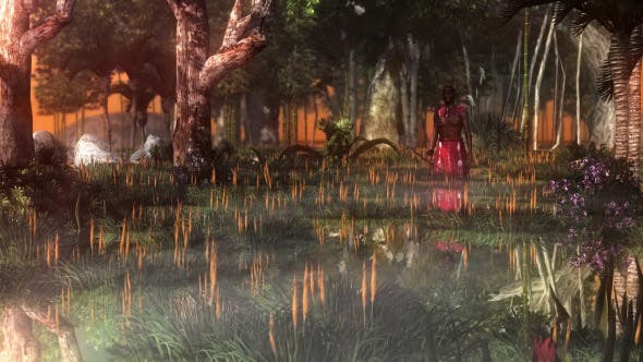 Native In The Swamp - 14344676 Videohive Download
