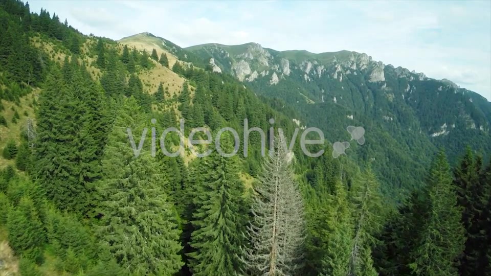 Nature Aerial Views  Videohive 9015830 Stock Footage Image 7