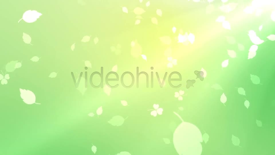 Nature Background Videohive 7046048 Motion Graphics Image 1