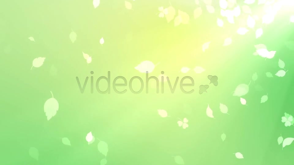 Nature Background Videohive 7046048 Motion Graphics Image 4