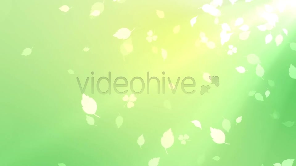 Nature Background Videohive 7046048 Motion Graphics Image 5