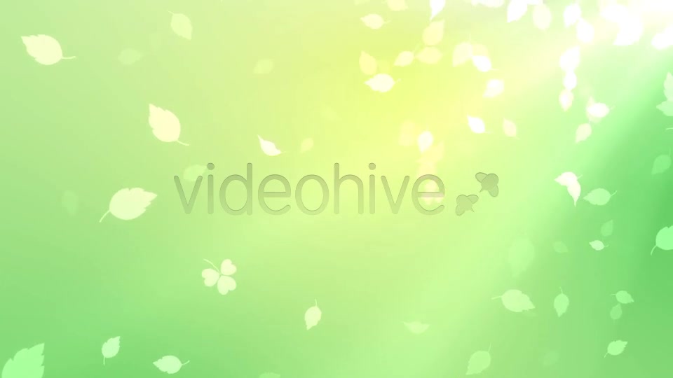 Nature Background Videohive 7046048 Motion Graphics Image 6