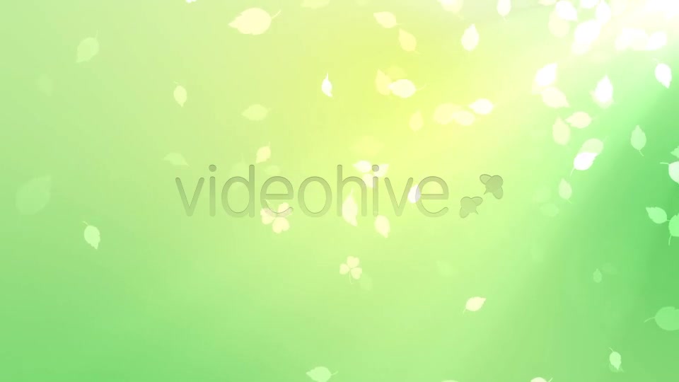 Nature Background Videohive 7046048 Motion Graphics Image 7