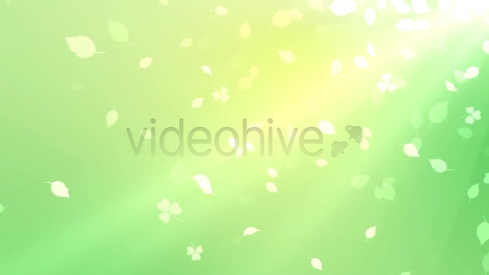 Nature Background Videohive 7046048 Motion Graphics Image 8