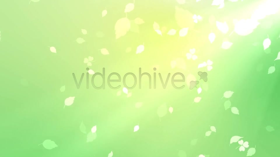Nature Background Videohive 7046048 Motion Graphics Image 9