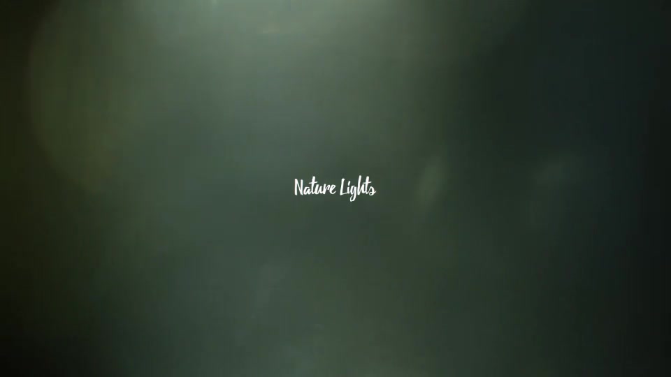 Nature Lights (4K Set 1) Videohive 21651767 Motion Graphics Image 3