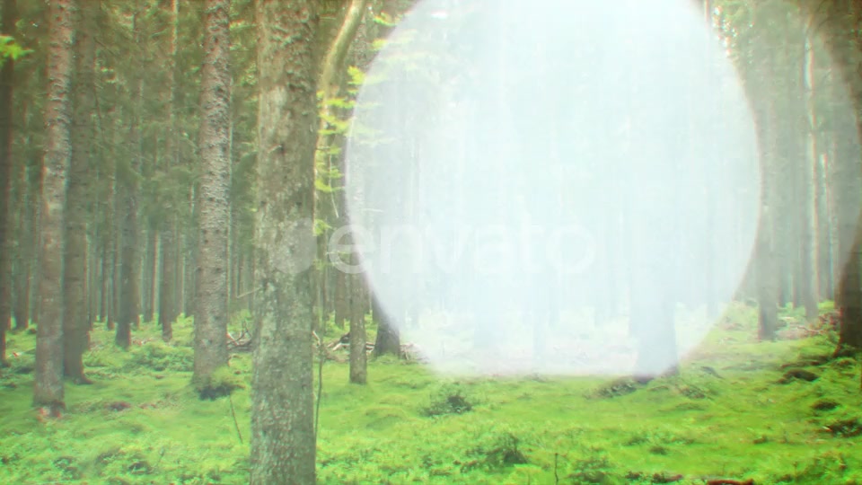 Nature Lights (4K Set 1) Videohive 21651767 Motion Graphics Image 9