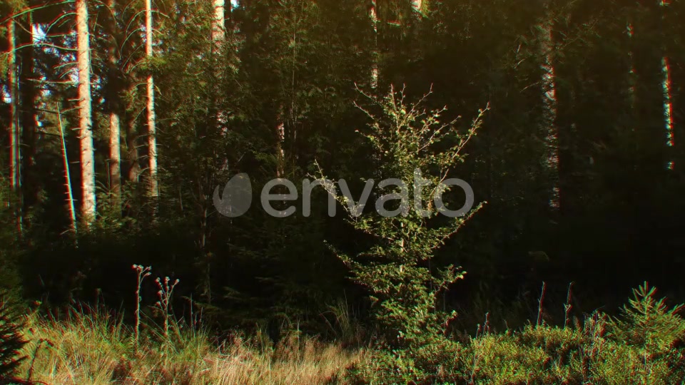 Nature Lights (HD Set 2) Videohive 21643129 Motion Graphics Image 11