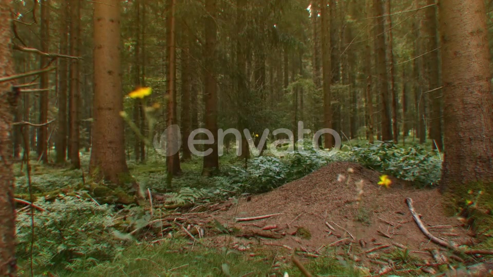 Nature Lights (HD Set 2) Videohive 21643129 Motion Graphics Image 3