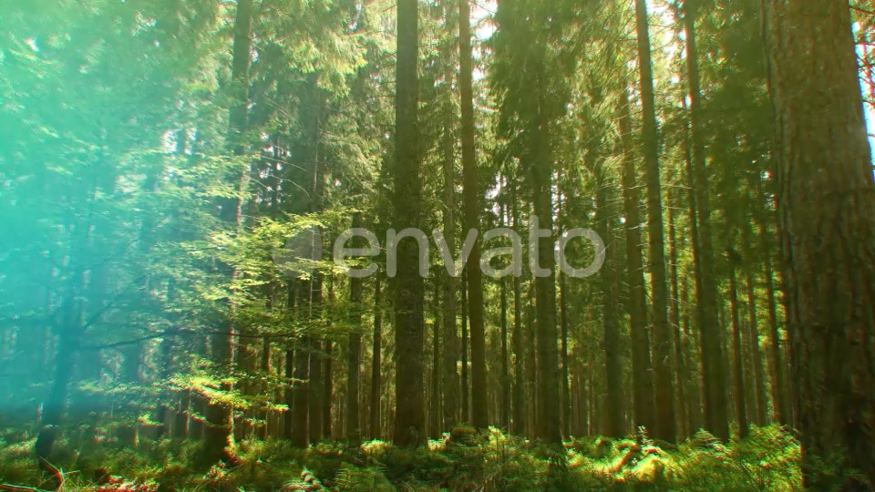 Nature Lights (HD Set 2) Videohive 21643129 Motion Graphics Image 8