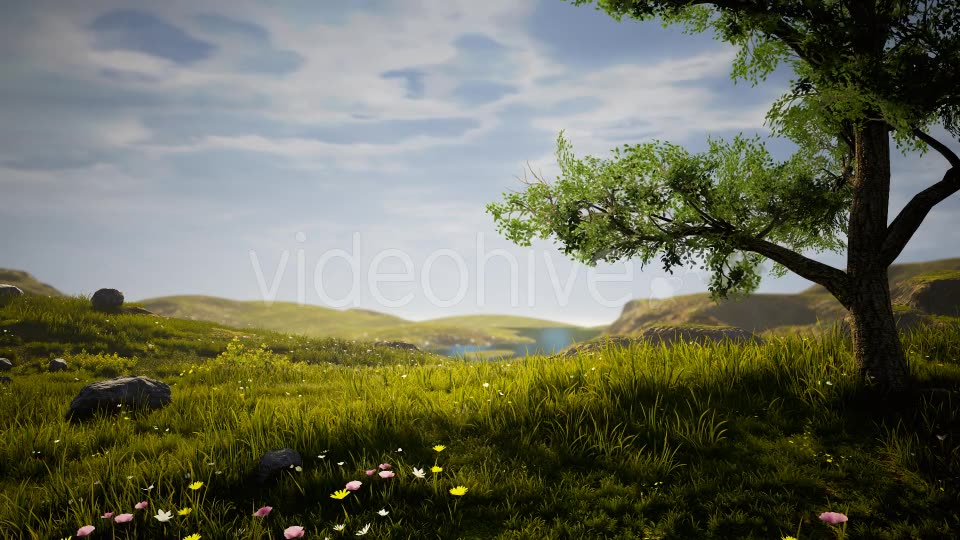 Nature Realastic Background Videohive 19386901 Motion Graphics Image 2